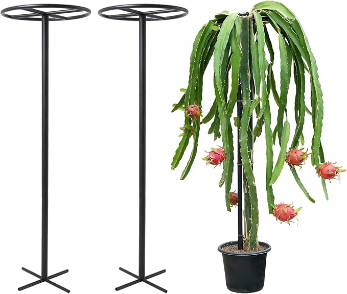 60-Inch Dragon Fruit Trellis - 2 Durable Metal Supports for Climbing Plants Easy to Assemble Outdoor Garden Trellis for Dragon Fruit Enthusiasts