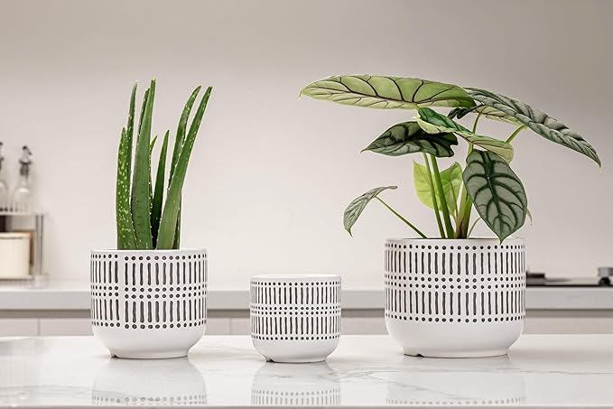 Docrin 3-Pack Ceramic Planters Set - 6.5+5.3+4 Dual-Tone Flower Pots with Drainage Holes Modern Indoor Outdoor Planters for Succulents/Herbs/Large Plants Home Office (Brownish Black &amp White)