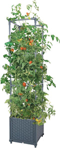 GREEN MOUNT Raised Garden Bed Planter Boxes with Trellis for Climbing Vegetables Plants Tomato Cage