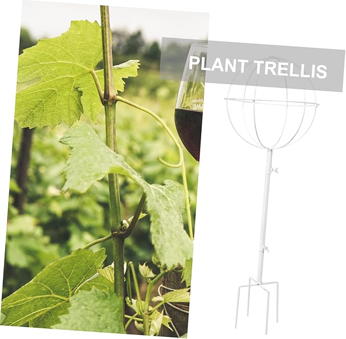 Metal Pergola Bracket Plant Support Sticks for Vines Climbing Roses Decorative Garden Trellis