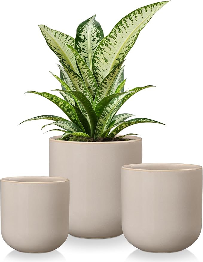vancasso Ceramic Plant Pots 4+5+6 inches Set of 3 Planters with Drainage Hole Flower Pots Planters Pots for Indoor Plants Modern Indoor Decorative Garden Pot Home Decor Gray