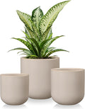 vancasso Ceramic Plant Pots 4+5+6 inches Set of 3 Planters with Drainage Hole Flower Pots Planters Pots for Indoor Plants Modern Indoor Decorative Garden Pot Home Decor Gray