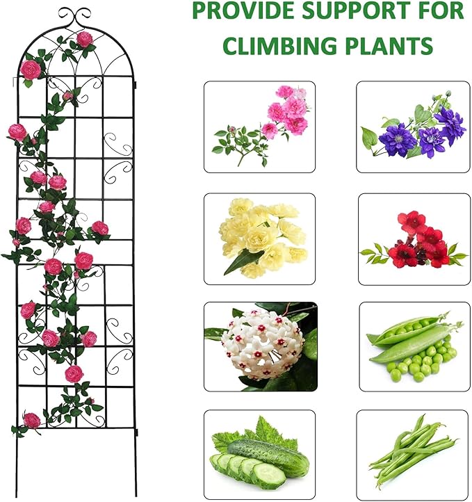 2 Pack Large Black Iron Garden Trellis 86.7 H x 19.7 W Heavy Duty Rustproof Plant Support for Roses Vines Vegetables