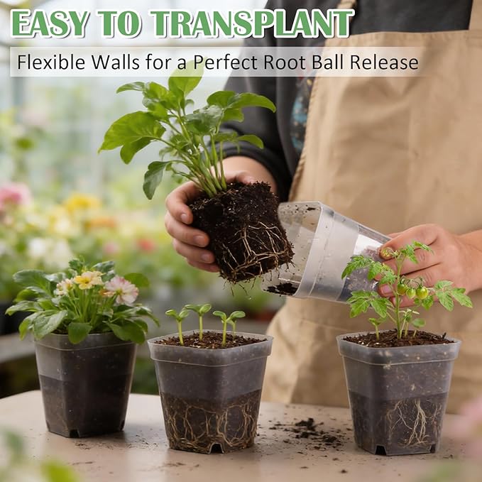 60 Pcs Clear Square Nursery Pots 4 Inch Reusable Seedling Pots with Drainage Holes Transparent Small Plant Potting Pot Containers for Seedlings Microgreens Flowers Indoor Gardening