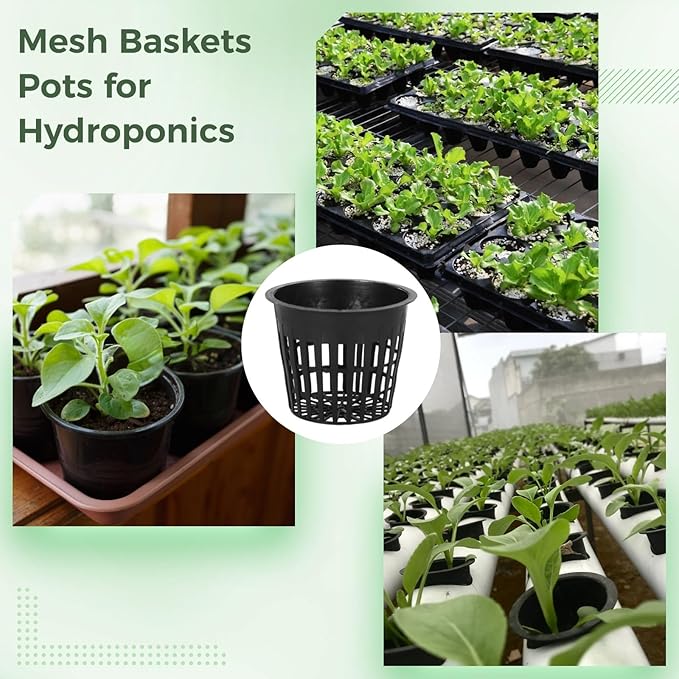 100 Pcs Hydroponic for Planting Baskets with Plastic Pots Root Drainage Control Holes Plants for Ideal Lily Efficient and Design Lightweight Stackable for Growth
