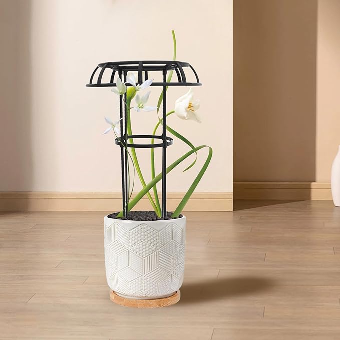 Metal Plant Climbing Support Trellis for Potted Plants Garden Climbing Rack Detachable Iron Frame Umbrella-Shaped Vine Cage for Indoor and Outdoor Gardening