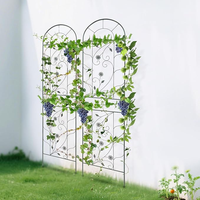 2-Pack Metal Garden Trellises for Climbing Plants 20x83 inch Decorative Garden Fencing Flower Trellis for Vine Vegetables Roses in Patio Yard Outdoor-Decoration Arched-Fence-Trellis