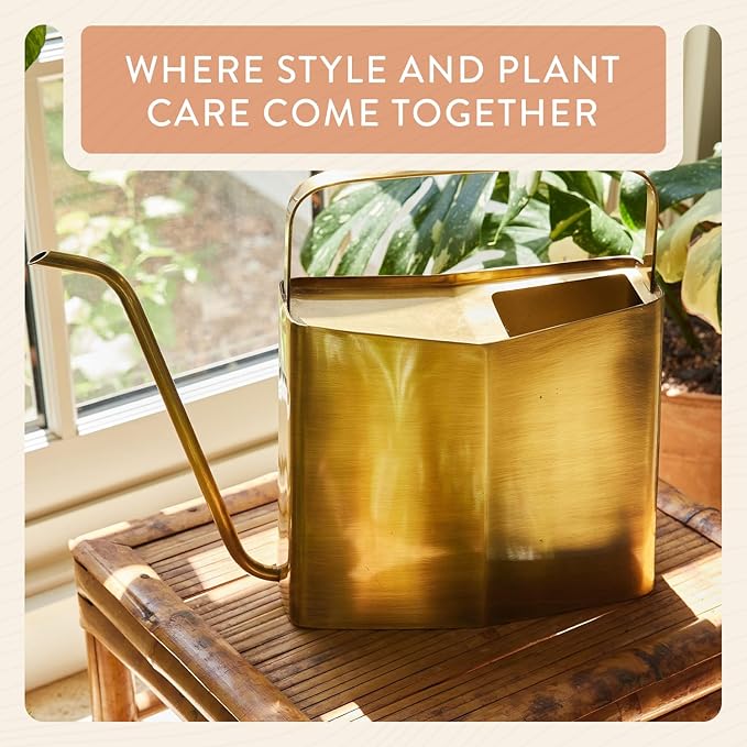 Modern Sprout Brass Finish Plant Watering Can - 3L Capacity - Long Spout Stainless Steel Vessel for Outdoor &amp Indoor Plants - Rust Resistant - Garden Accessory for Houseplants &amp Decorative Use
