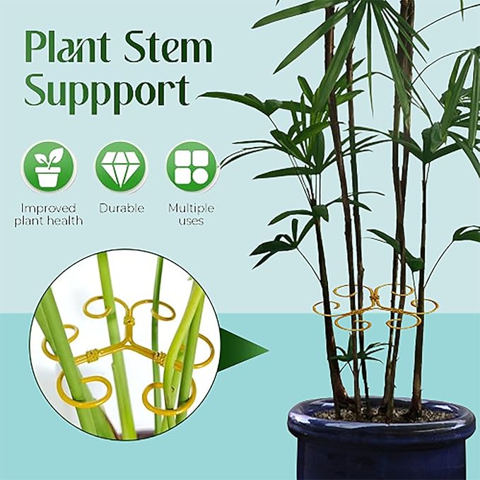 Plant Stem Support Set Reusable Plastic Climbing Plant Supports Plants Trellis Plant Support for Indoor Plants Upgrade Plastic Reusable Plant Stabilizer Indoor Plants Accessories (Heart 12pcs)