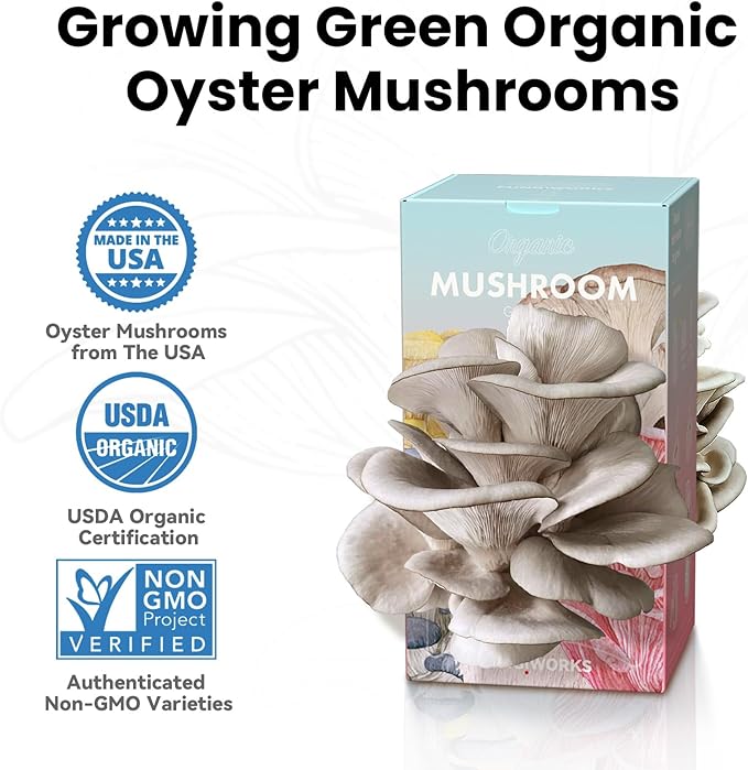 Organic Edible 4lbs Oyster Mushroom Growing Kit Made in USA Double-Side Mushroom Grow Kit Indoor Harvest Gourmet Mushrooms in 10 Days Top Gardening Gift Holiday Gift