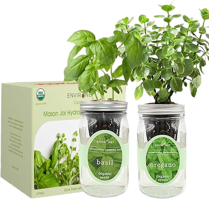 2-Pack Hydroponic Mason Jar Herb Garden Kit Indoor Herb Garden Self-Watering Starter Kit (BasilOregano)
