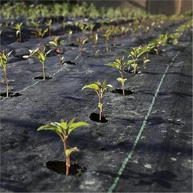 Landscape FabricGeotextile Landscape Weed Block Fabric Landscape Ground Cover Membrane(1x25m(3.3x82ft))