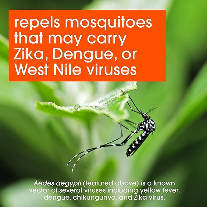 OFF! Deep Woods VIII Dry Insect Repellent Bug Spray for Camping Hiking and Outdoor Use 4 Ounce (Pack of 1)