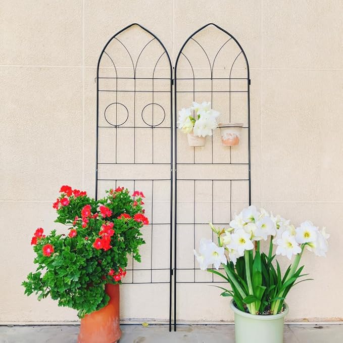 Heavy-Duty Metal Garden Trellis for Climbing Plants – Rust-Resistant Outdoor Plant Support with Sturdy Steel Frame (2 Pack-Black)