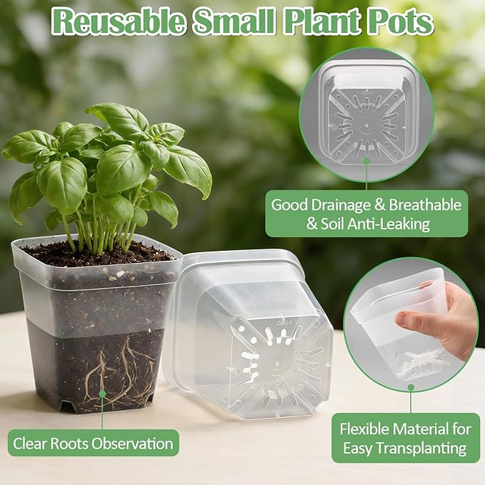 60 Pcs Clear Square Nursery Pots 4 Inch Reusable Seedling Pots with Drainage Holes Transparent Small Plant Potting Pot Containers for Seedlings Microgreens Flowers Indoor Gardening