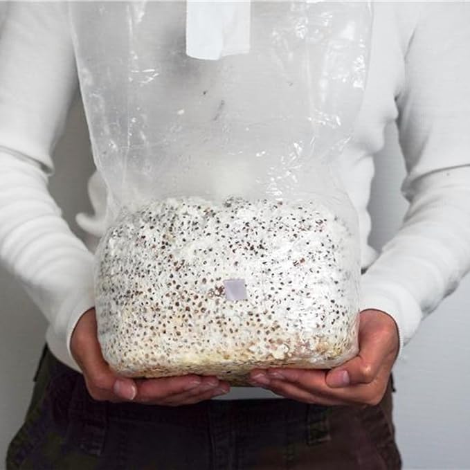 Mycelium CVG Substrate | 2-Pack (10 lbs Each) Pre-Sterilized Bulk Mushroom Substrate with Coco Coir Vermiculite &amp Gypsum | Ideal for Dung-Loving Mushrooms | Ready to Use Organic &amp High-Yield