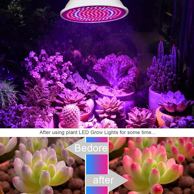 Dual Head LED Grow Light 20W Desk Clip Lamp Dual Head with Clamp and 360 Degree Flexible Gooseneck Suitable for Indoor Plants Growth