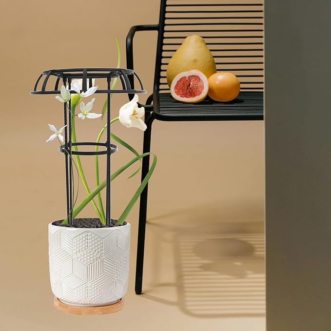 Adjustable Metal Plant Climbing Trellis Rack for Indoor and Outdoor Garden Potted Plant Climbing Stand with Fan-Shaped Vine Support for Flower and Vegetable Growth
