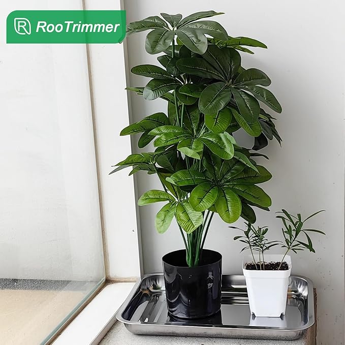 Stainless Steel Plant Trays 5 Pack Multi-Purpose Tray for Indoor Outdoor Plants Seed Starting Tray for Potted Plants(11.6 inch×15.2 inch 1.45 Height 5-Pack)