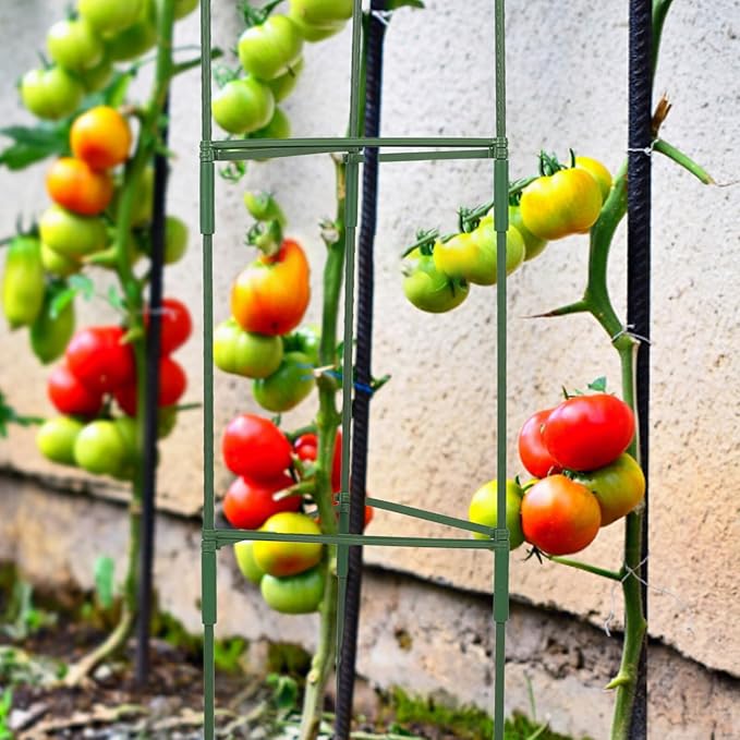 DOITOOL 3 Sets Garden Trellis Plant Climbing Stand Metal Tomato Cage for Indoor Outdoor Vine Support with 27 Rods and 18 Connectors for Yard and Patio Gardening