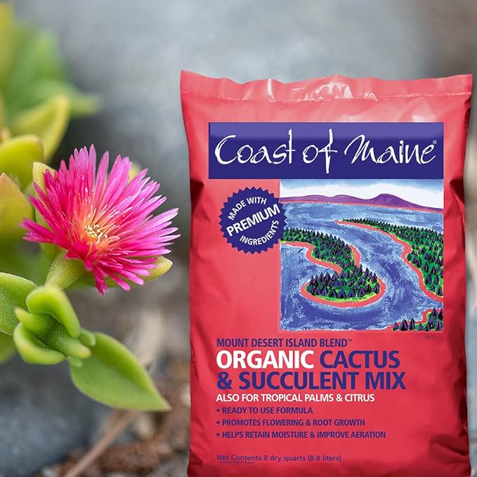 Coast of Maine - Mount Desert Island Blend - Organic Cactus and Succulent Mix 8qt