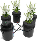 Indoor Hydroponics Growing System 5 Gallon Round Bucket Deep Water Culture DWC Hydroponic Grow System Kit 5-Bucket Garden Kit with Pump&amp Air Stone and Water Level Device for Leafy Vegetables
