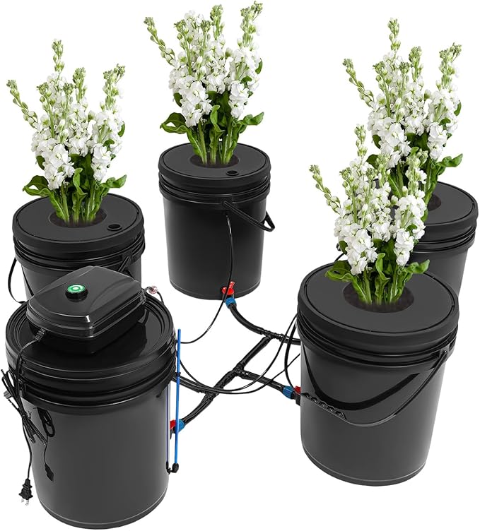 Indoor Hydroponics Growing System 5 Gallon Round Bucket Deep Water Culture DWC Hydroponic Grow System Kit 5-Bucket Garden Kit with Pump&amp Air Stone and Water Level Device for Leafy Vegetables