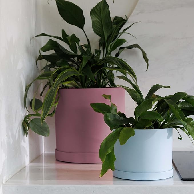 Bloem Mathers 10 Dusty Rose Round Modern Resin Garden Planter Pot with Drainage Holes and Removable Saucer Tray Included