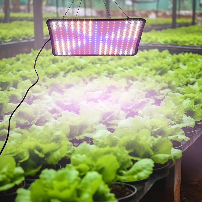 Plant Grow Light Lamp Dimmable Hanging Chain for Greenhouse Live Houseplants