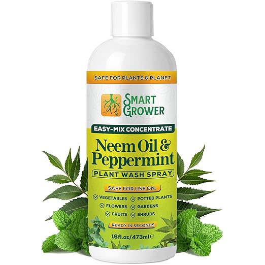 Neem Oil Spray for Plants with Peppermint Oil – for Indoor &amp Outdoor Plants Gardens &amp Houseplants– Best Value Refill 16 oz Concentrate Makes 2 Gallon RTU