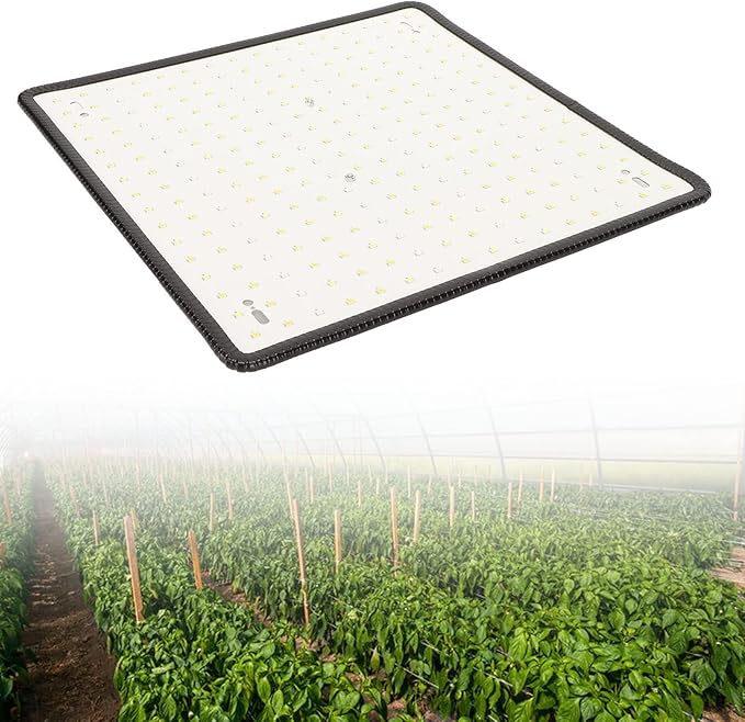 GLOGLOW Plant Grow Light 1000W Professional LED Plant Light High Brightness Scientific Control Excellent Heat Dissipation for Greenhouse (US Plug)