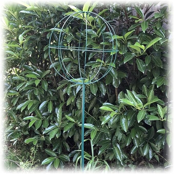 Lollipop Shape Climbing Plants Obelisk Garden TrellisesMetal Outdoor Indoor Plant Support for Climbing Vines and FlowersUpgraded Thickened Material Sturdy and Durable ( Color : Green  Size : 90cm