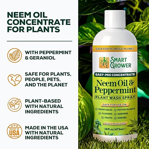 Neem Oil Spray for Plants with Peppermint Oil – for Indoor &amp Outdoor Plants Gardens &amp Houseplants– Best Value Refill 16 oz Concentrate Makes 2 Gallon RTU
