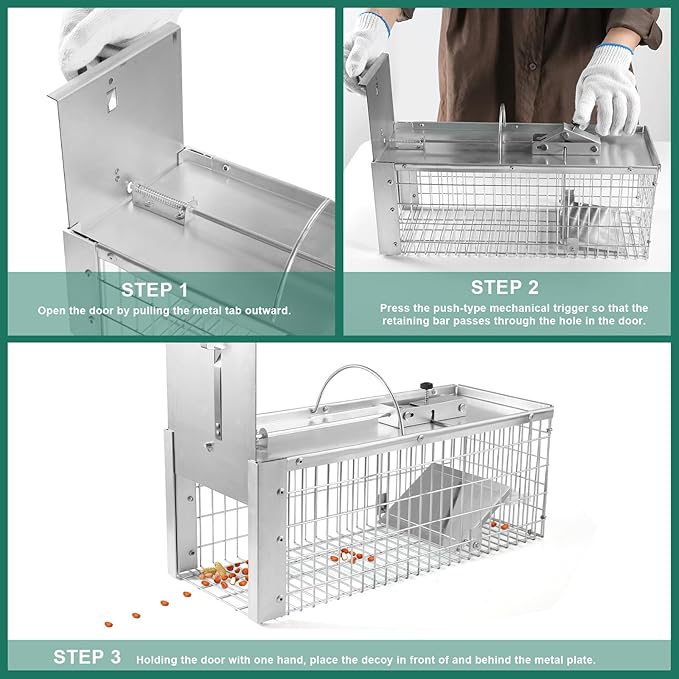 Live Animal Cage Trap Durable Humane Animal Trap for Squirrels Weasels Chipmunks and Small Animals Easy Catch &amp Release (1 Trap)