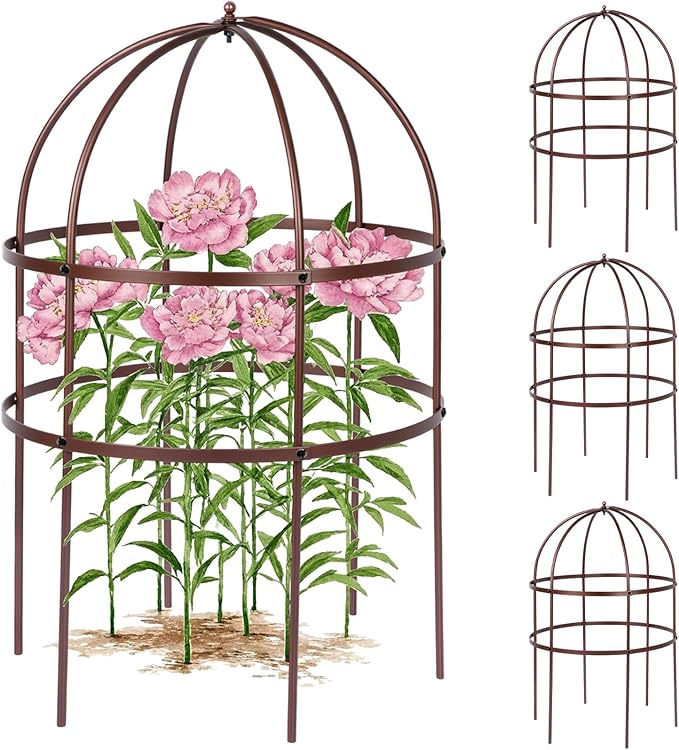 4 Pcs Jardin Bird Cage Plant Support 24 H Large Sturdy Grow-Through Flower Support Peony Cage Climbing Plant Support Trellis Sculptural Garden Decor for Perennial Flowers (Vintage Gold)