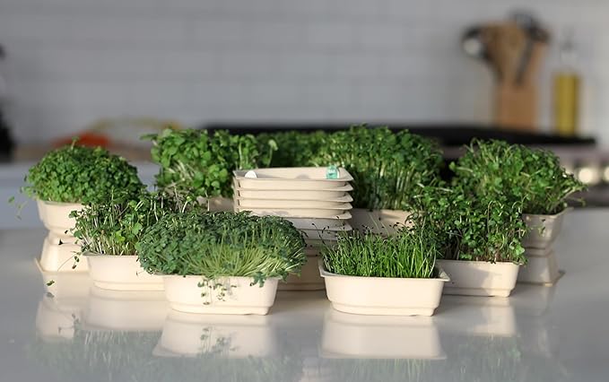 Indoor Garden Fully Automated LED Growing Unit for Microgreens Herbs Leafy Greens Organic Soil-Based Low/No Maintenance Easy Standalone Unit Designed &amp Assembled in The USA