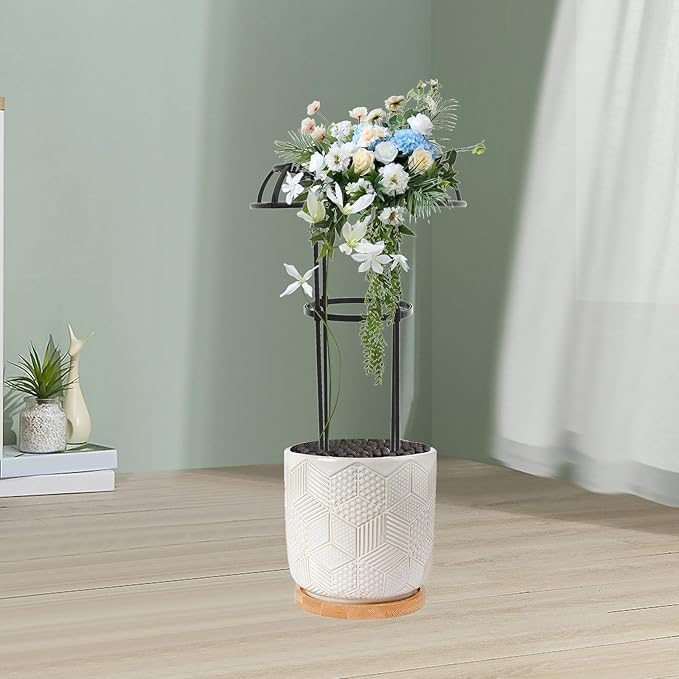 Metal Garden Trellis for Climbing Plants and Potted Plants Outdoor Indoor with Iron Frame for Vine Shaping