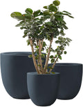 Kante 2016.513.4 Dia Round Concrete Planters (Set of 3) Outdoor Indoor Modern Decorative Plant Pots with Drainage Hole &amp Rubber Plug for Home &amp Garden Charcoal