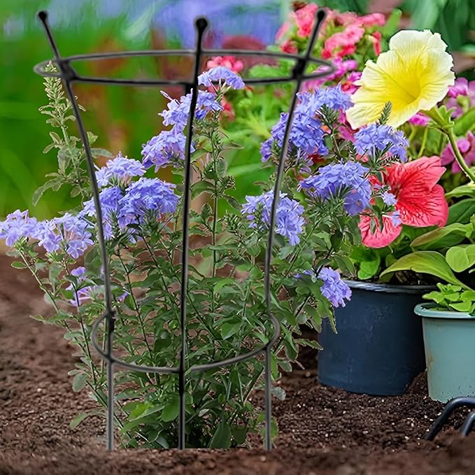 Peony Cage Plant Support Metal Garden Trellis for Climbing Plants Decoration Gardening Trellis for Pot Plant Vegetables Vines Flowers Anti-Rust(78x36cm/30.7x14.2in)