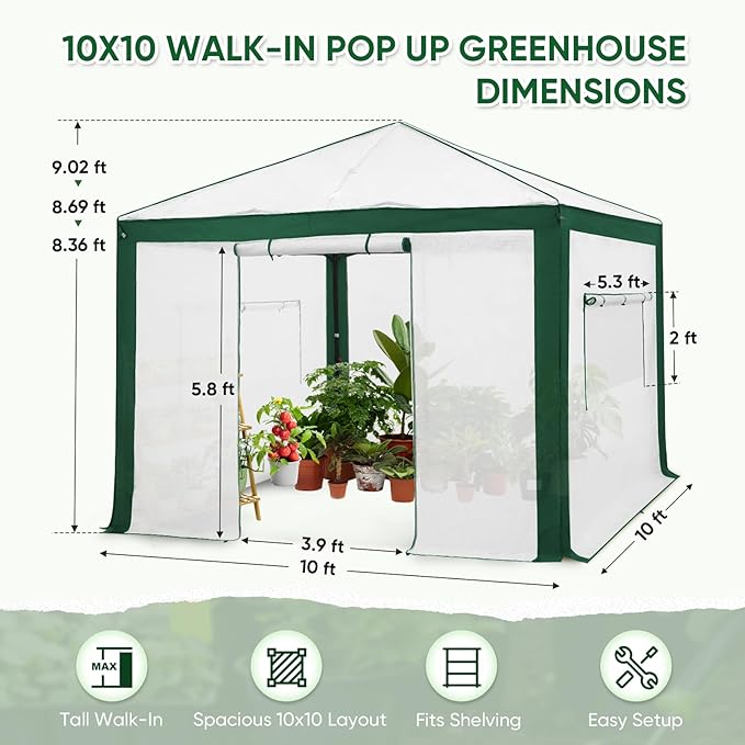 EAGLE PEAK 10x10 Portable Walk in Greenhouse with Polyester Reinforced Corners Instant Pop up Indoor Outdoor Gardening Green House Roll Up Zipper Entry Doors and Mesh Windows Green/White