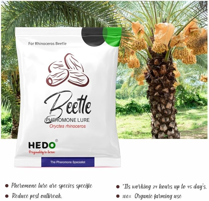 HEDO Beetle Lure Pack of 10| Pheromone Lure for Rhinoceros Beetle (oryctes Rhinoceros) for Coconut &amp Palm Tree