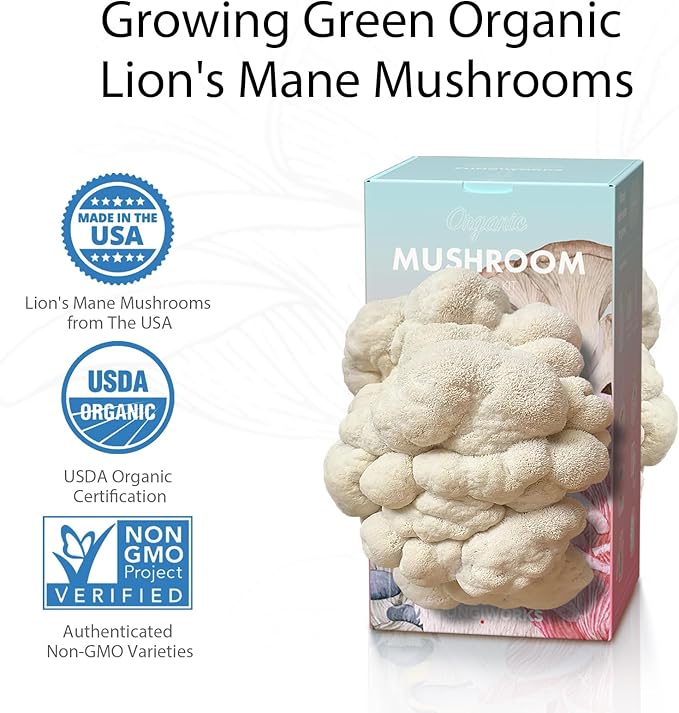 USA Organic 4lbs Lions Mane Mushroom Growing Kit Double-Side Mushroom Grow Kit Indoor Harvest Gourmet Mushrooms in 10 Days Top Gardening Gift Holiday Gift
