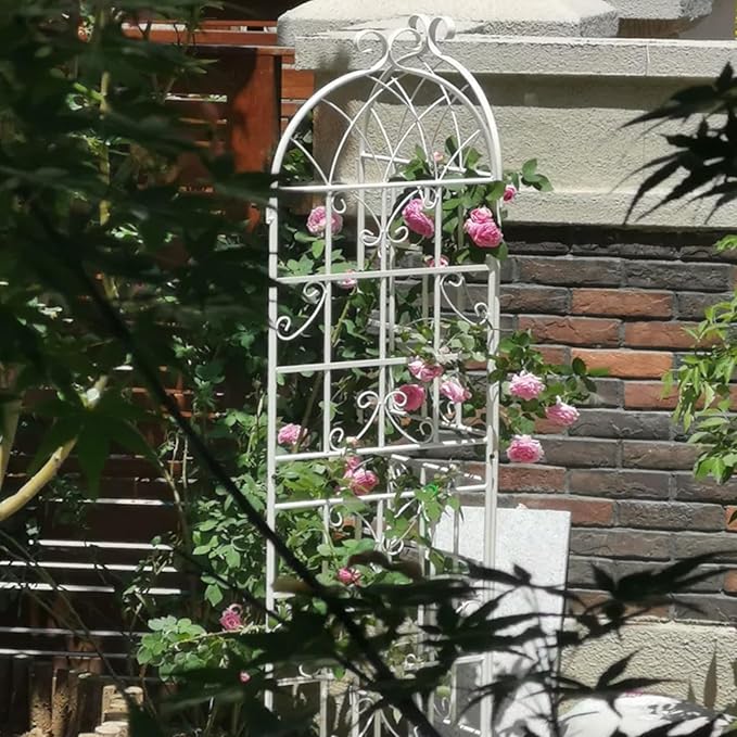 Metal Garden Trellis Rustproof Arched Fence for Climbing Plants Outdoor Flowers Vegetables Elegant Flower Trellis for Garden Decor Wall Brackets Black &amp White 71 x 19.7 (Cream White 4 Pack