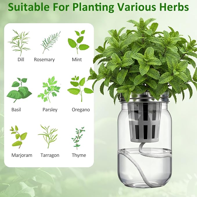 12 Set Hydroponic Garden Mason Jar Kit Self Watering Herb Hydroponic Planter Starter Kit with Net Pot Garden Flower Plant Growing Gift for Indoor Herbs Windowsill Gardening