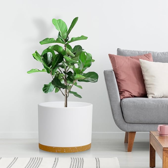 Large Plant Pots Set of 3 – 8 9 10 Indoor Flower Pots with Drainage Holes and Saucers Big Planters for Monstera Fiddle Leaf Fig Snake Plant – 5 Colors