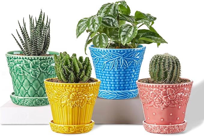 Succulent Ceramic Pots 3.8 Inch Small Plant Pots with Drainage Hole &amp Saucer Flower Planter Pot for House Plants Cacti Home Decor Set of 4 Assorted Colors