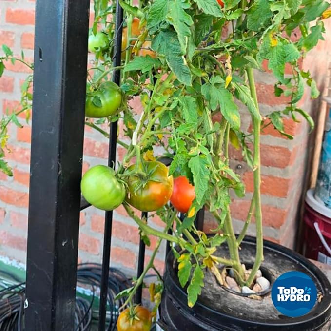 Grow Pot Original DWC System Kit Complete with Accessories (2gal)