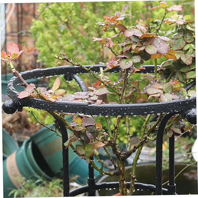 Plant Trellis Garden Trellis for Climbing Plants 61 Inch Umbrella Shape Rose Rustproof Metal Vertical Garden Obelisk for Outdoor Rose