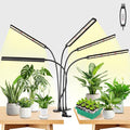 FOXGARDEN Grow Lights for Indoor Plants Full Spectrum Plant Lights for Indoor Growing with Timer 4/8/12 H Five-Head 260 LED Clip Grow Lamp with Gooseneck 4 Brightness Levels for Plant Growing