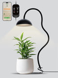 GLOWRIUM Smart Grow Lights for Indoor Plants10W Full Spectrum Plant Lights with Bluetooth App Control 360° Flexible Gooseneck Grow Lamp Auto Timer 3/9/12Hrs 10 Brightness for Small Plants Black